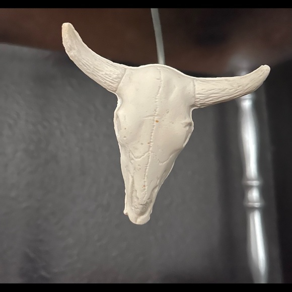 Authentic Bone Infant Bull Skull - Picture 4 of 6